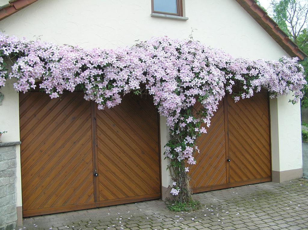 Ferienwohnung Am Alten Berg Ochsenfurt Exterior photo